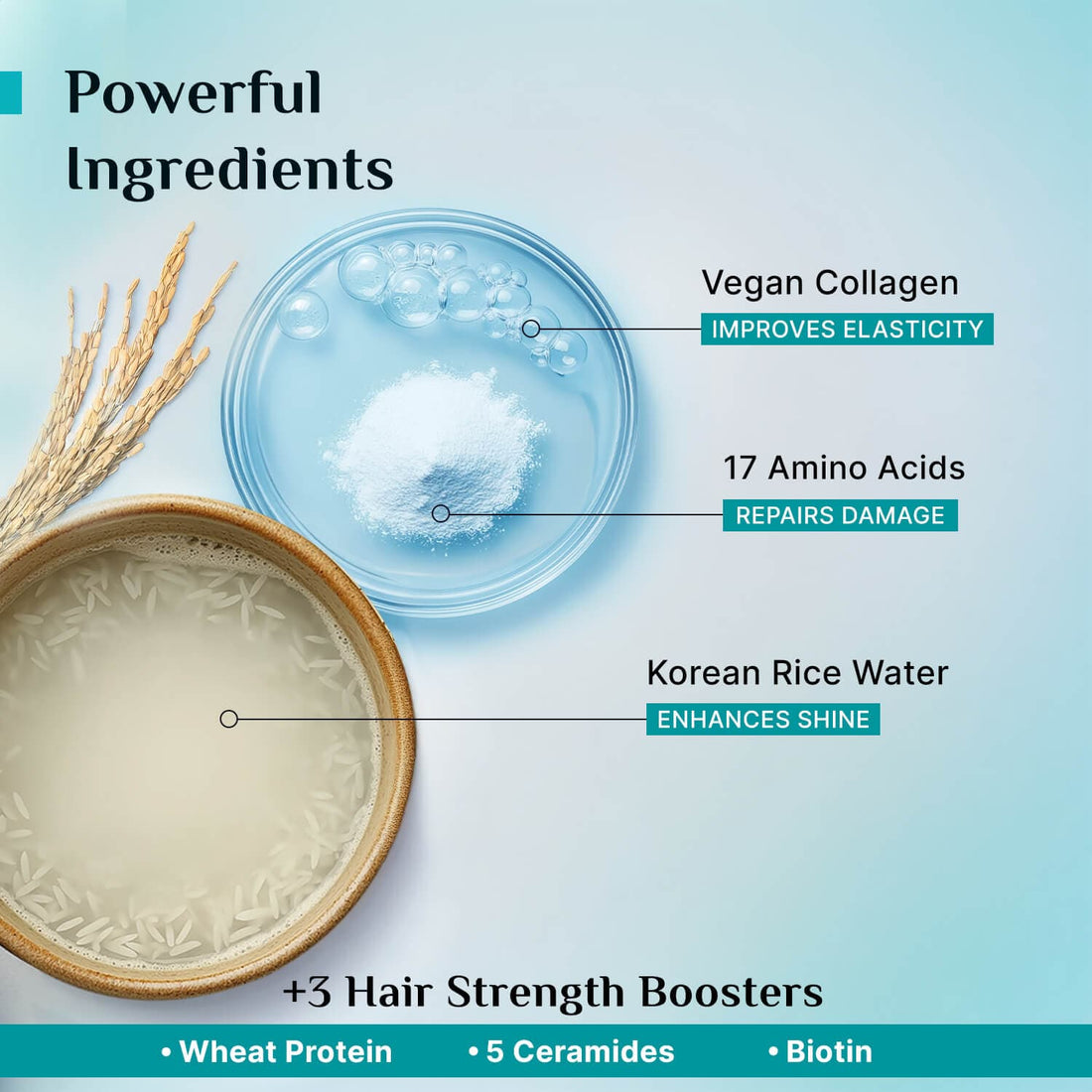 Pilgrim Korean Rice Conditioner (200ml) – photo 4
