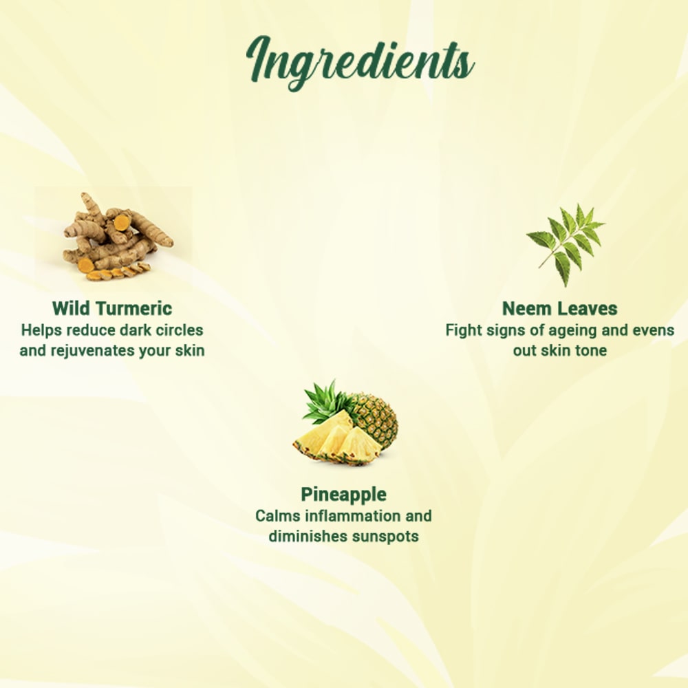 Biotique Bio Pineapple Face Wash (100ml) – photo 4
