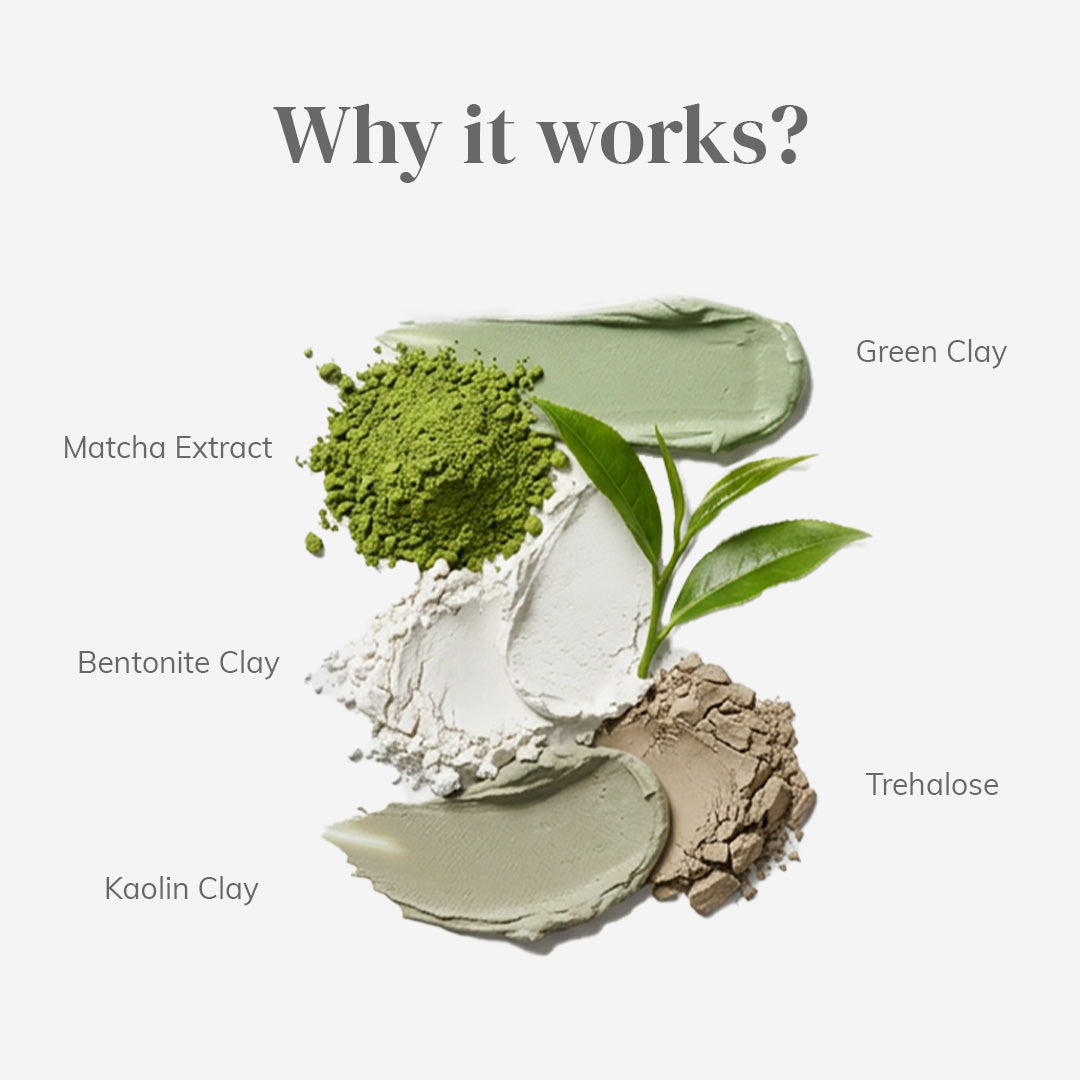 ClayCo Detoxifying Matcha Clay Mask (Pack of 2) – photo 2