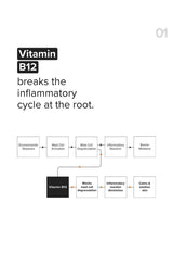 Minimalist B12 + Repair Complex 5.5% Face Moisturizer