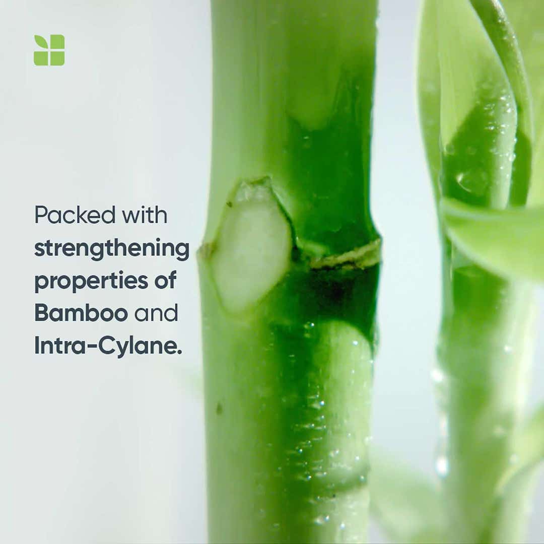 Matrix Biolage Advanced Fiberstrong Anti-Breakage Shampoo – photo 3